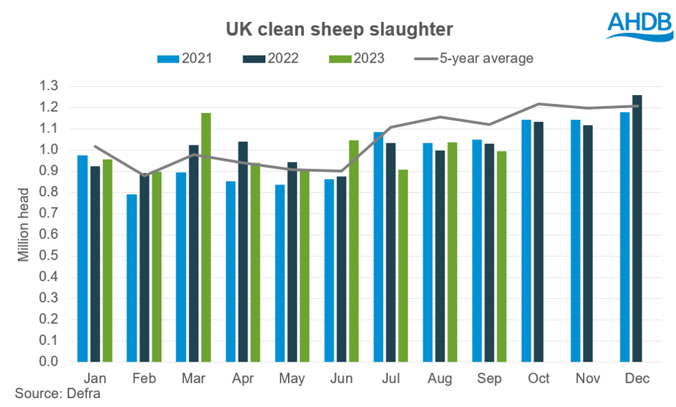 UK clean sheep slaughter